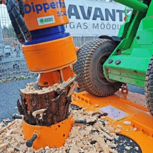 Bravo Rent Dipperfox kännufrees 1