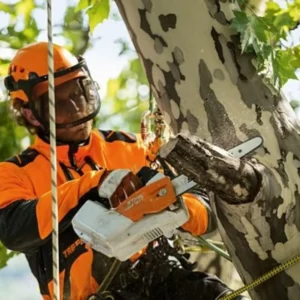 Bravo Rent Stihl akukettsaag 2