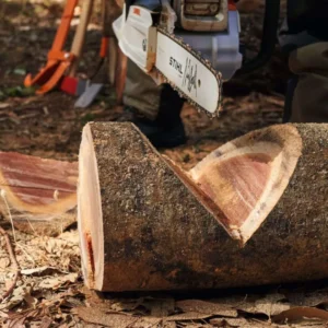 Bravo Rent mootorsaag Stihl 4